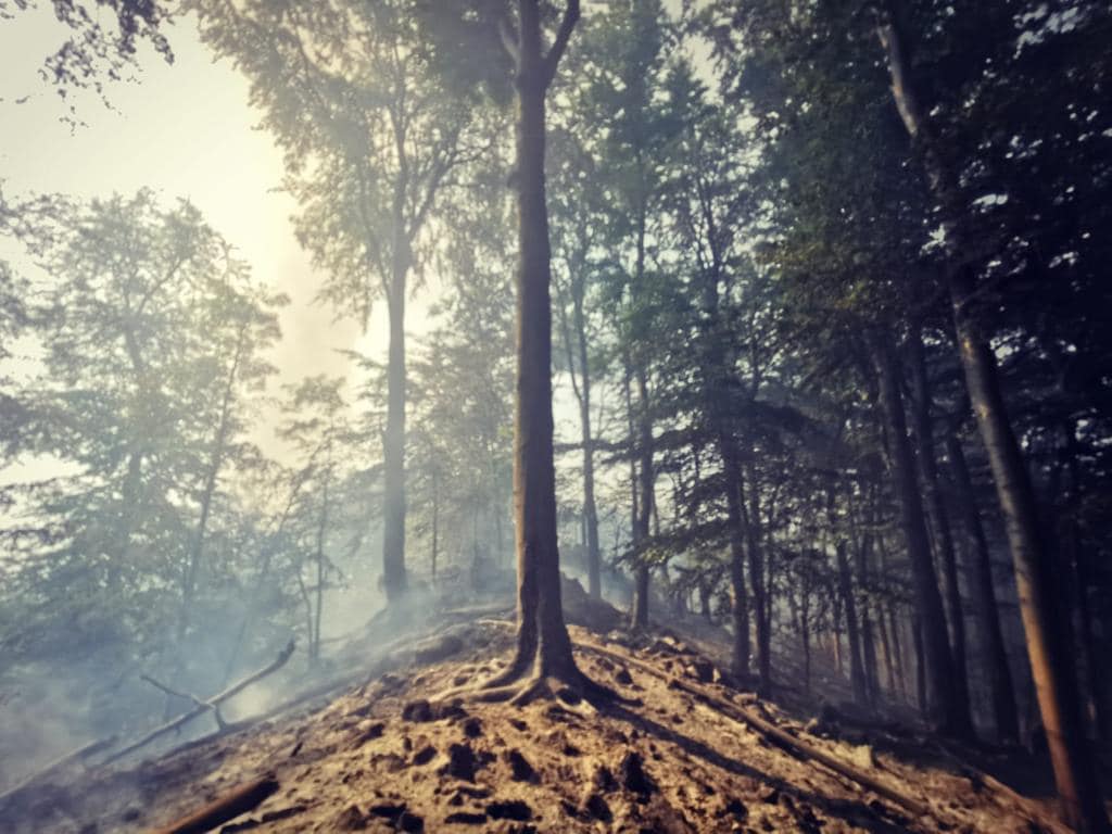 01 - Lokalizácia požiaru lesného porastu v k.o. Malá Lodina, okres Košice-okolie